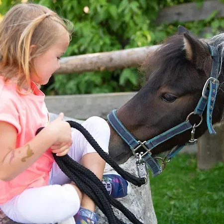 Monika - Altenmarkt 4*