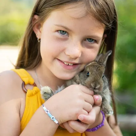 Apart Otel Monika - Altenmarkt 4*