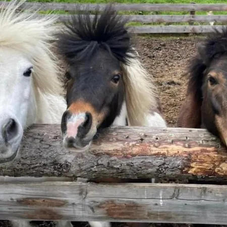 Apart Otel Monika - Altenmarkt